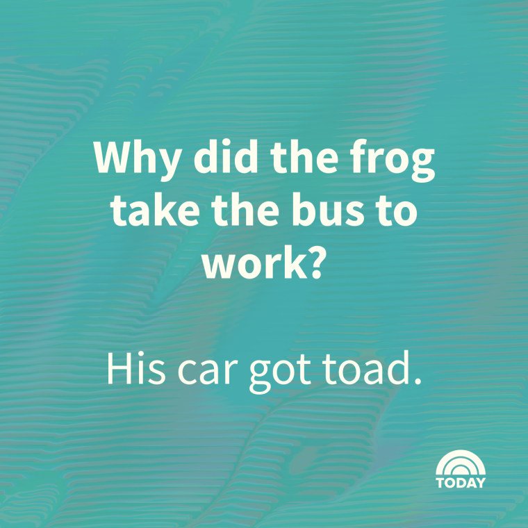 A look at rivo casino app